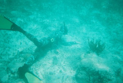 Damien Diving2